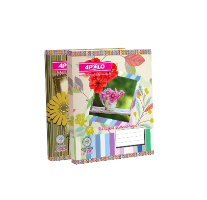 Binding Book 60 GSM Small 300 Pg Apolo